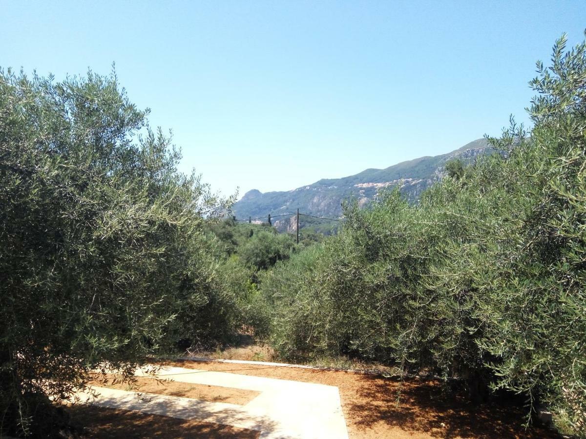 ליאפאדס Helios & Elia Family Apartment מראה חיצוני תמונה